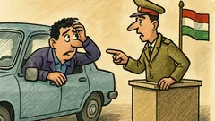 Banc: Discuție la vamă: De unde veniți?