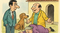 Banc: Câinele dumneavoastră mi-a mușcat soacra